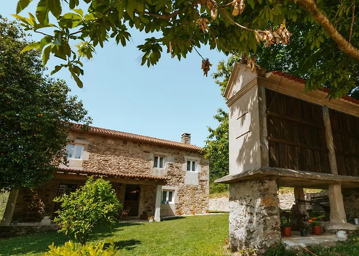 A Quinta Das Maceiras