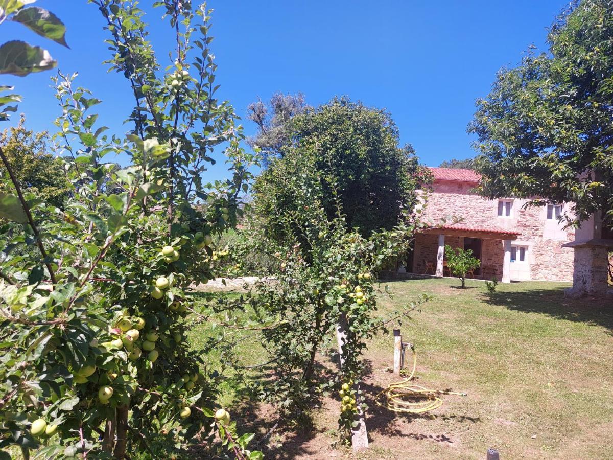 Pensión A Quinta Maceiras Os Casares