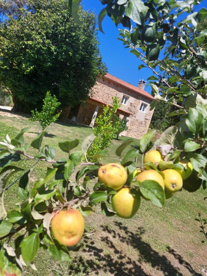 Pensión A Quinta Maceiras