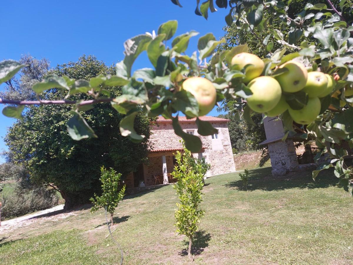 A Quinta Maceiras Pensión *