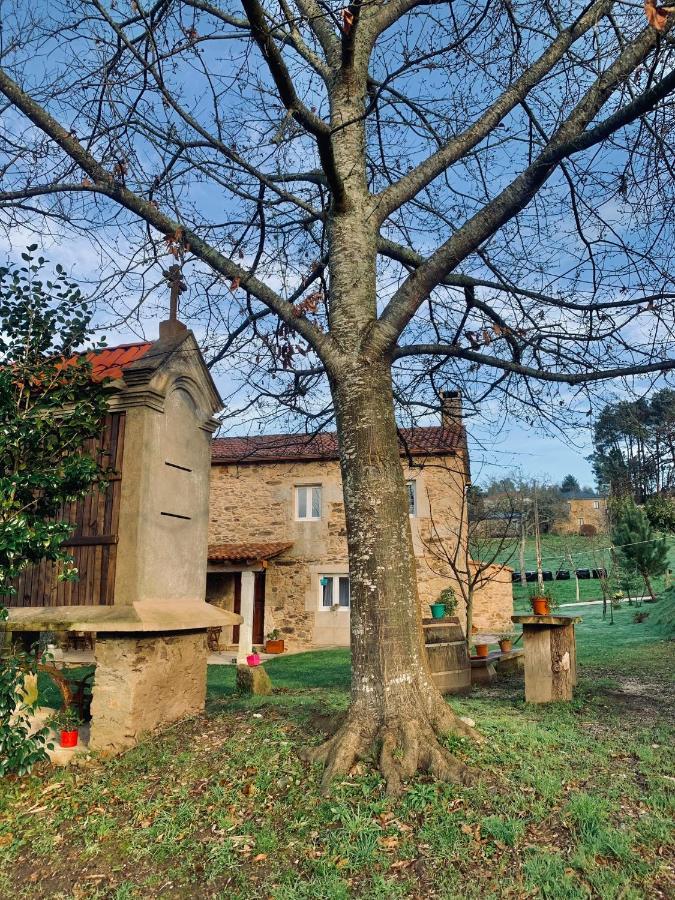 A Quinta Maceiras * Os Casares